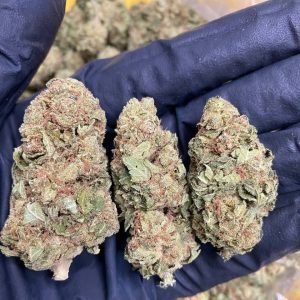 Cannabis online in Berlin kaufen