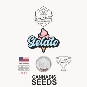 Gelato - Photoperiodisch - Cannabis Samen feminisiert