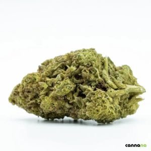 Cannabis in München