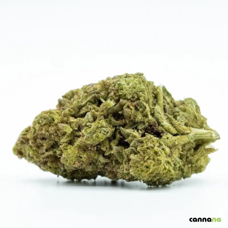 Cannabis in München