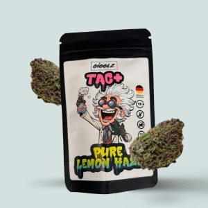 Gigglz TAC Blüten – Pure Lemon Haze. 1 g Pure Lemon Haze 1 g