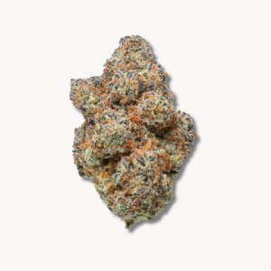 Punch Breath (US Cuts) Nur Online erhältlich!