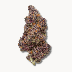 Trop Cherry (US Cuts) Nur Online erhältlich!