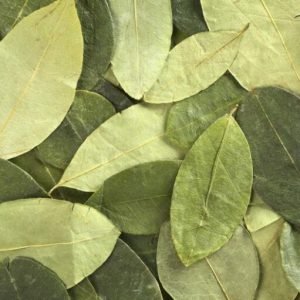 Coca-Blätter 1.000 g (1 kg)
