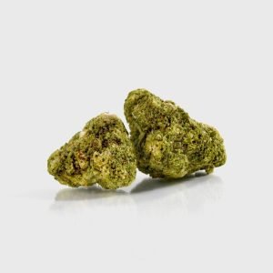 🍊 Tangie - POWER LVL: 4/5